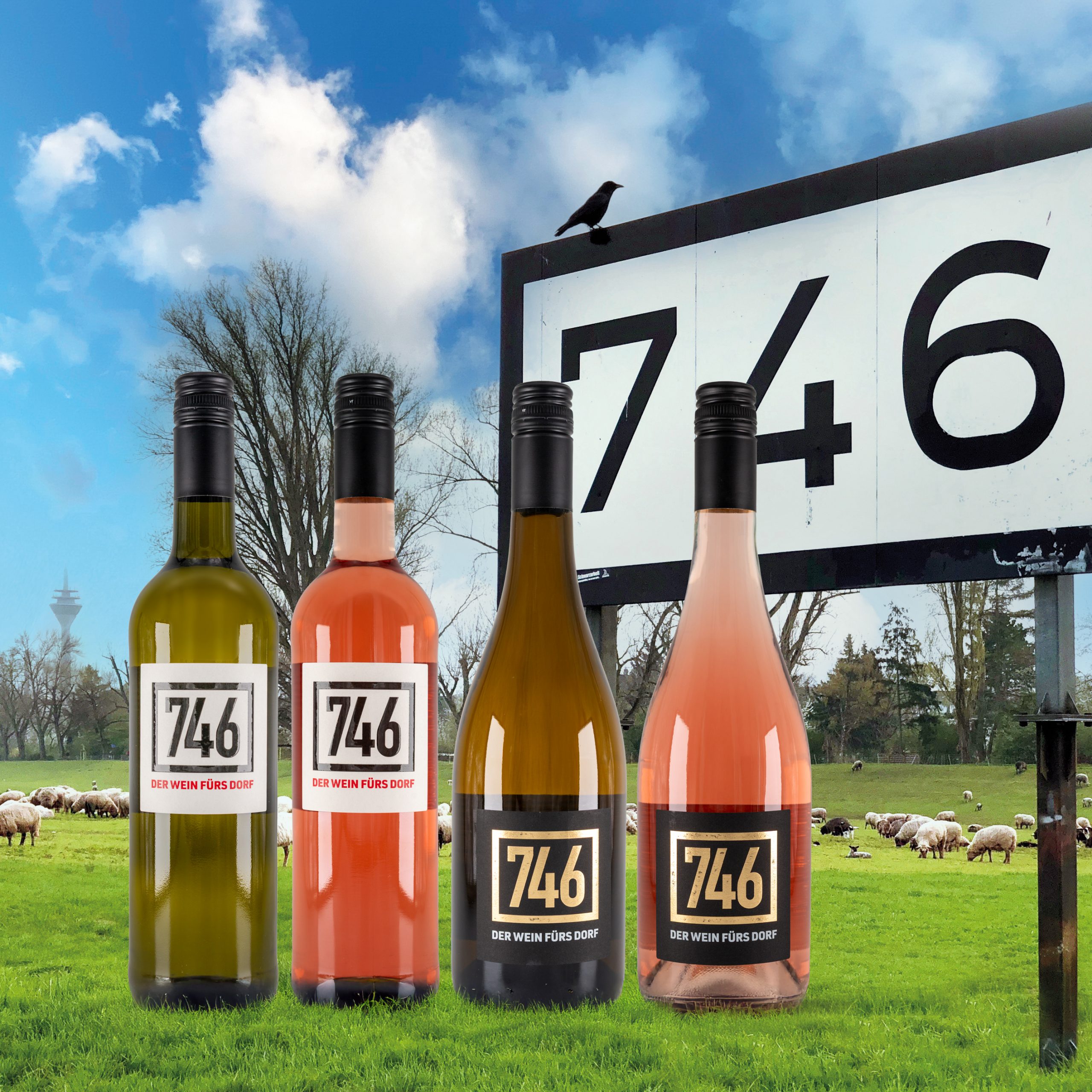 LinesupamRhein_Website